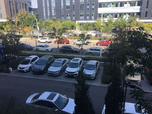 可比落和米诺地尔哪个效果好？一起来看看市场上哪种更受欢迎！