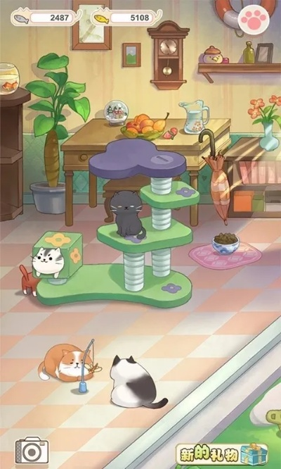 (猫宅日记兑换码2020年新版)猫宅日记大佬推荐码，享受优惠福利大放送
