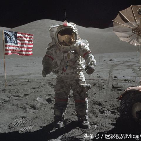 (江苏卫视进击的兔子是谁)进击的兔子小姐全文免费阅读：跟随小姐一起踏上冒险之旅