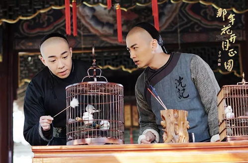 (歌曲点灯)点灯2叩门怨剧情分集介绍：情感纠葛、家庭矛盾、友情破裂