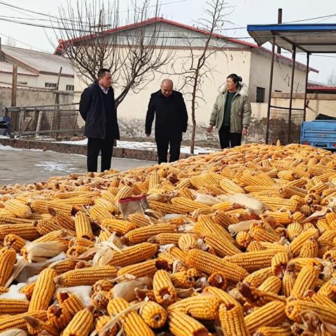 (cctv7农业种植致富网)央视新闻揭秘农业种植黑科技，揭开现代种植业的神秘面纱
