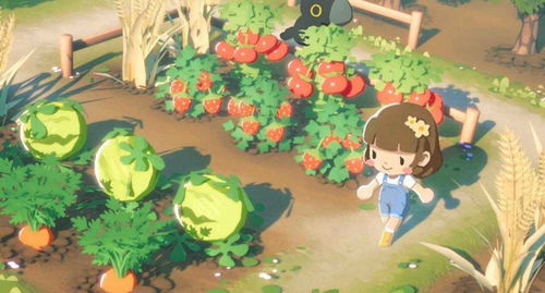puffpals island skies正版下载-puffpals island skies游戏v.3.93