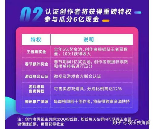 (如何加入创作者计划)新手能否加入创作者伙伴计划？