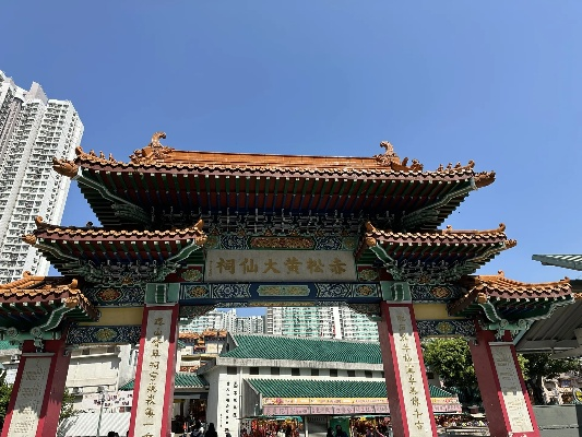 黄大仙免费精准资料的优势|前沿研究解释落实_半成制.8.256
